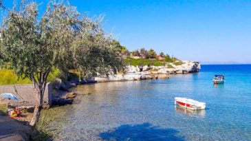 İzmir’de Zeytinliklerin Gölgesinde Deniz Keyfi: Boyabağı Koyu’na ESHOT ile Nasıl Gidilir?
