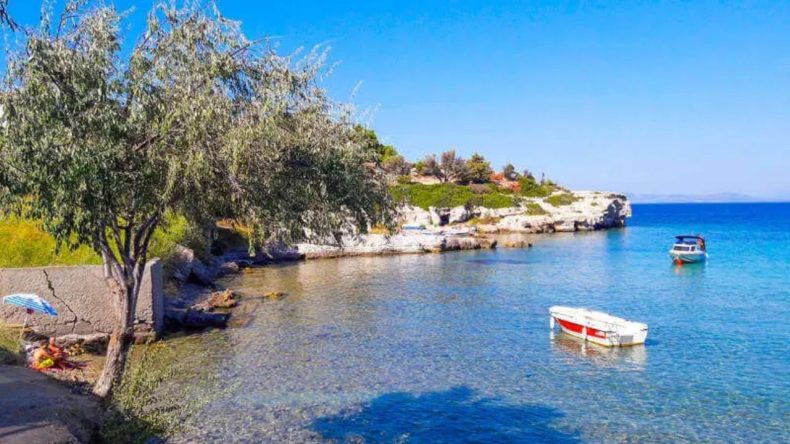 İzmir’de Zeytinliklerin Gölgesinde Deniz Keyfi: Boyabağı Koyu’na ESHOT ile Nasıl Gidilir?