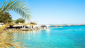 İzmirliler Berrak Denizi ve Altın Kumlarıyla Ünlü Bu Koya Para Biriktiriyor