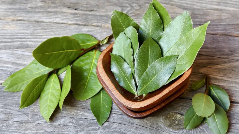 İzmirliler Dikkat: Evde Bulundurmanız Gerekenler, Hamam Böcekleri Uzak Dursun!