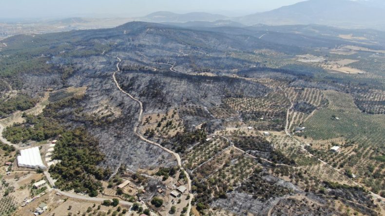 İzmir’in Ciğerleri Yandı: Hasar Havadan Görüntülendi, Vatandaşlar Yaşadıklarını Anlattı
