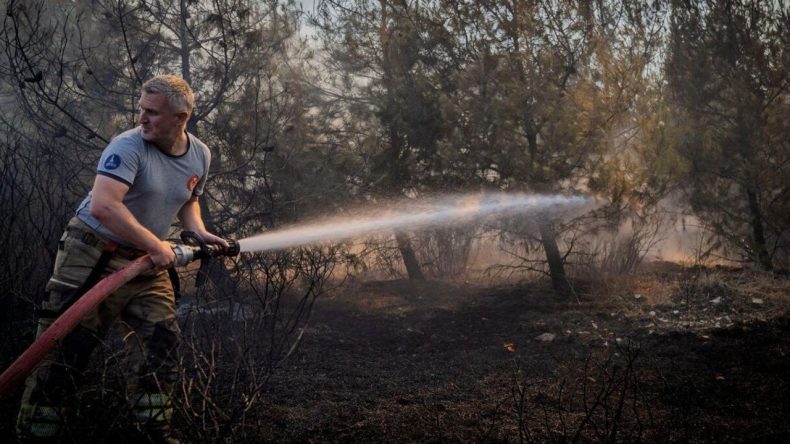 İzmir’de Orman Yangını Alarmı: Alevlere Karşı Seferberlik!