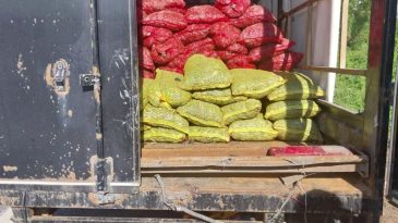 Kamyonetten 5 Ton Resmi Evraksız Deniz Midyesi Ele Geçirildi: 62 Bin Lira Ceza