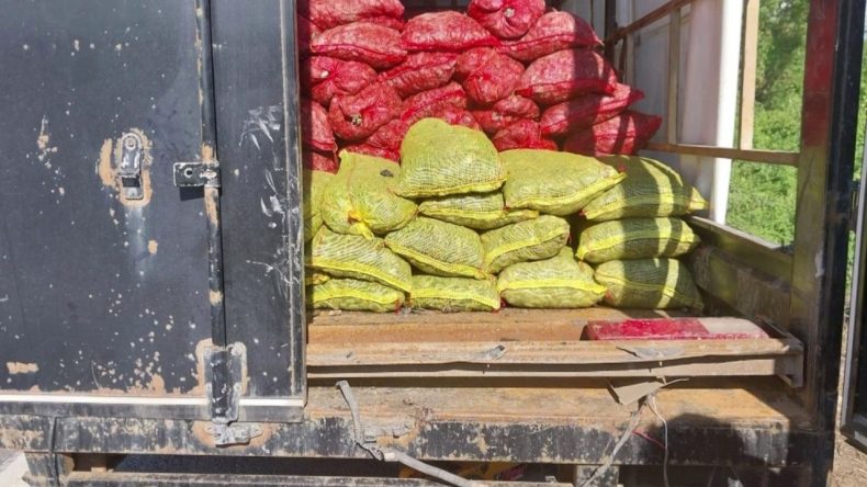 Kamyonetten 5 Ton Resmi Evraksız Deniz Midyesi Ele Geçirildi: 62 Bin Lira Ceza