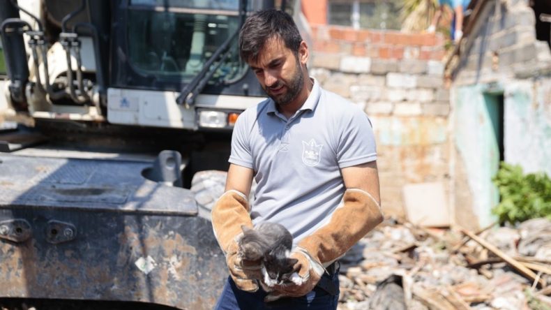Konak’ta yıkım sırasında umut: Yavru kediler yeni sahiplerini arıyor