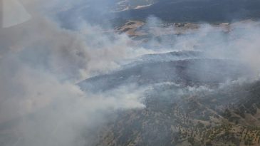 Manisa’da Yangın: İzmir Ekipleri Harekete Geçti, Müdahale Devam Ediyor