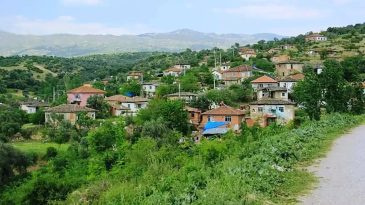 Ne boyoz ne de gevrek: İzmir’in gizli cennetinde yetişiyor, lezzeti ile coğrafi işaret almayı başardı