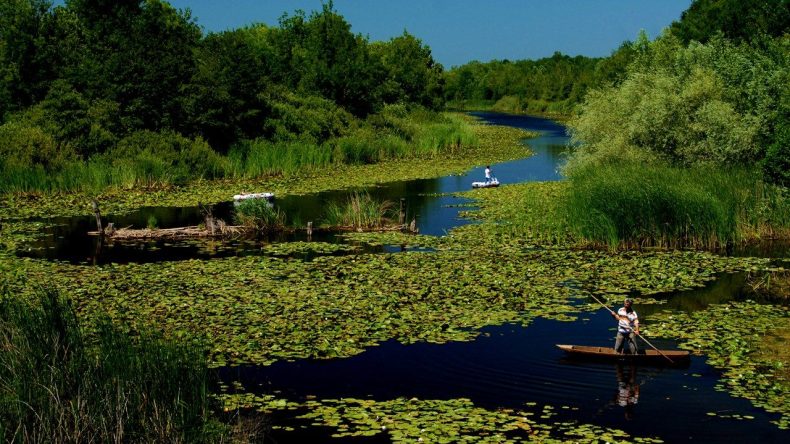 Ne İzmir ne de Muğla: Su ile ormanın buluştuğu göz kamaştıran bir hazine