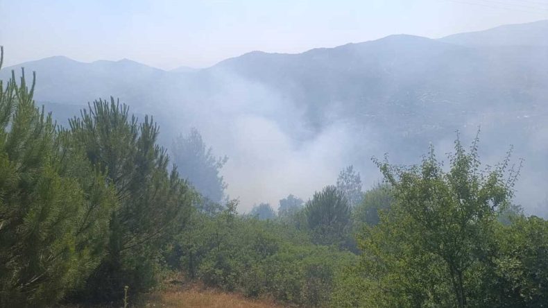 Ödemiş’te Yangın Paniği: Rüzgarın Etkisiyle Büyüyen Alevler Kontrol Altına Alındı