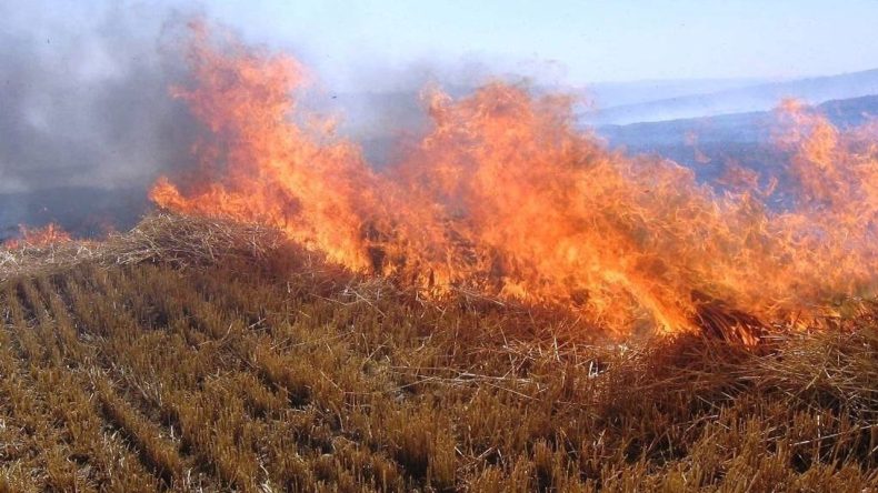 Orman Yangınları Tehlikesi Artıyor, Meteorolojiden Uyarı Yapıldı