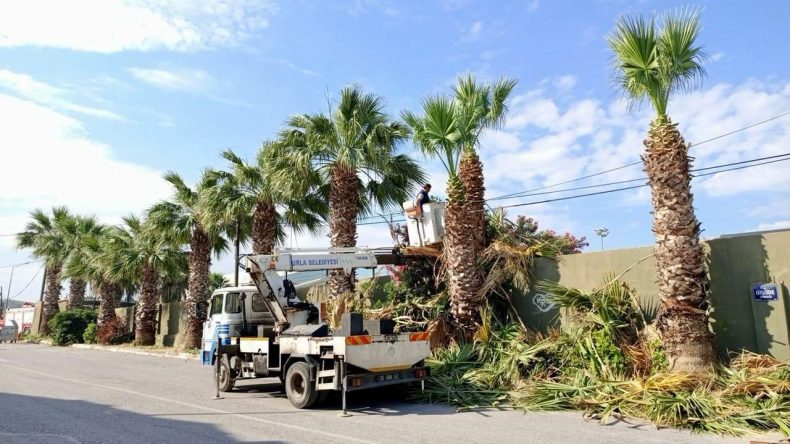 Parklar, Sahiller ve Yeşil Alanlar: Urla’da Sezon Öncesi Yoğun Çalışmalar