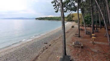 Piknik ve deniz keyfi bir arada: İzmir’e 2 saat uzaklıktaki doğal plaj