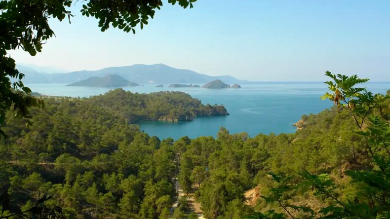 Resmi Gazete'de Duyuruldu: Deniz Kenarındaki Ormanlık Alanlar Turizme Açılıyor