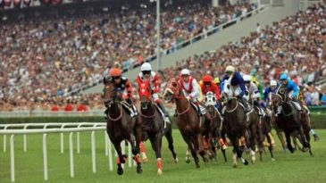 Safkanlar Hazır, Gözler Bu Yarışta: 99. Gazi Koşusu Başlıyor