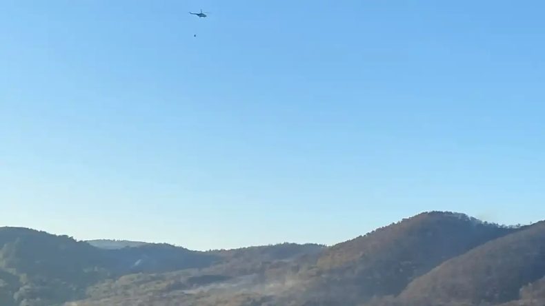 Seferihisar'da Yangın Felaketi: Havadan M&uuml;dahale Yeniden Başladı
