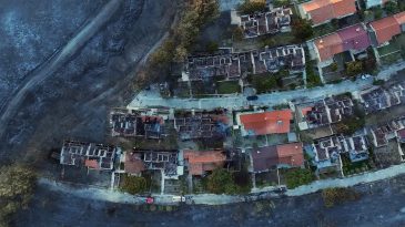 Seferihisar'daki Yangın: G&uuml;n Ağarınca Acı Manzara Ortaya &Ccedil;ıktı