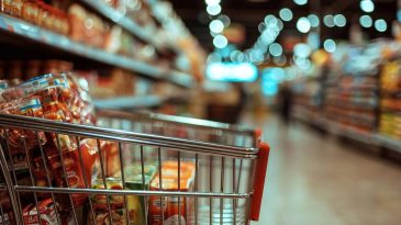 Tarım Kredi Kooperatif Market’te Haziran Ayı İndirimleri: Evinizi Yenileyin!