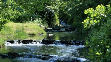 Türkiye’de Korunacak Alanlar Artacak: Hedef Yüzde 30