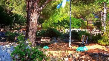 Türkiye’de tek: Atatürk Botanik Bahçesi nerede? Dikili Atatürk Botanik Bahçesi’ne nasıl gidilir?