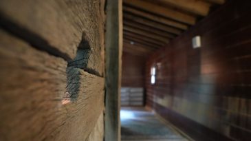 Yapımında Tek Bir Çivi Bile Kullanılmadı: 7 Asırdır Ayakta