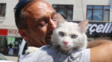 10 Bin Lira &Ouml;d&uuml;l Koymuştu: Kedisi Bulununca G&ouml;zyaşlarına Hakim Olamadı