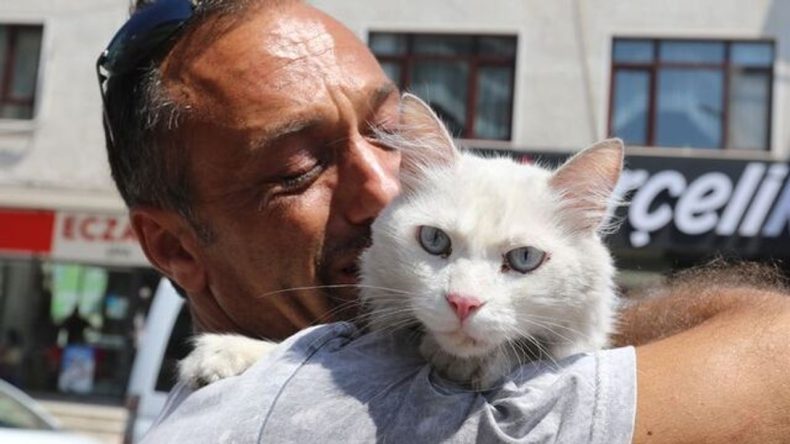10 Bin Lira Ödül Koymuştu: Kedisi Bulununca Gözyaşlarına Hakim Olamadı