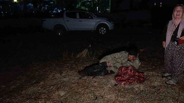 Afrika değil, T&uuml;rkiye: Aslan uyuyan &ccedil;ift&ccedil;iye saldırdı