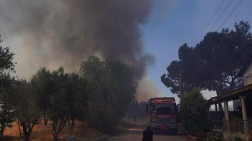 Alevlerle M&uuml;cadele: İzmir'de İtfaiye Ekipleri &Ccedil;eşme İ&ccedil;in Seferber Oldu