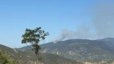 Aliağa'da Alevlere Hızlı M&uuml;dahale: Yangın Kontrol Altında