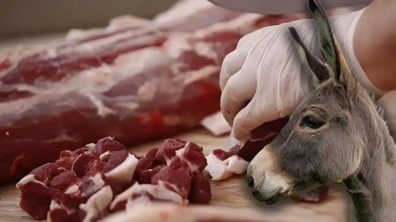 Bakanlık Uyardı: Vatandaşlara At ve Eşek Eti İkram Edildi