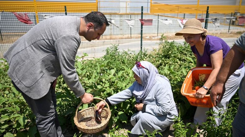 Bornova'da Ev Kadınları Toprağa Can Verdi: Şehrin Ortasında Tarım