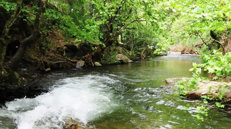 Buz Gibi Deresi ve Asırlık Ağaçları ile İzmir'in Gizli Kalmış Köyü: Ulaşım İçin ESHOT Seçeneği