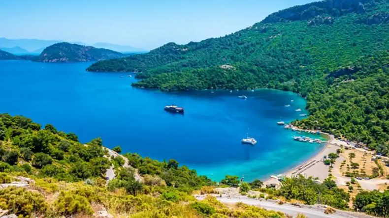 Et Yiyen Bakteri Tehlikesi: Ege, Marmara ve Akdeniz Kıyılarında