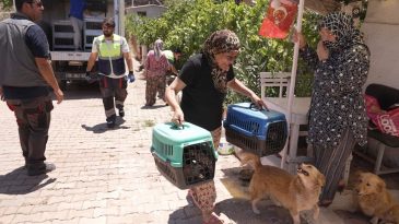 Hayvanları yangından etkilenmişti: Yardımına İzmir B&uuml;y&uuml;kşehir koştu!