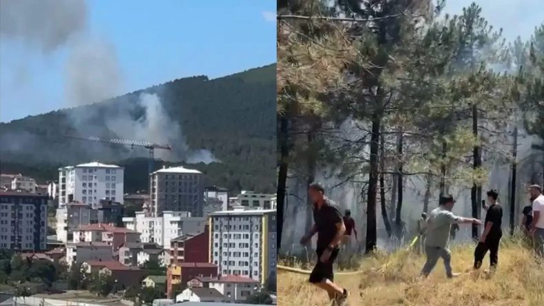 İstanbul'da Orman Yangını Korkuttu!