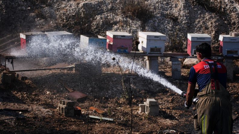 İzmir Buca’da yangın: Arı kovanları alevlere teslim oldu