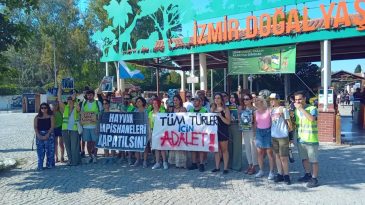 İzmir Doğal Yaşam Parkı'ndaki aslan &ouml;l&uuml;m&uuml;ne tepki: Derhal kapatılmalı