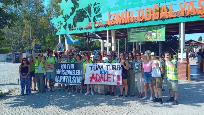 İzmir Doğal Yaşam Parkı'ndaki aslan ölümüne tepki: Derhal kapatılmalı