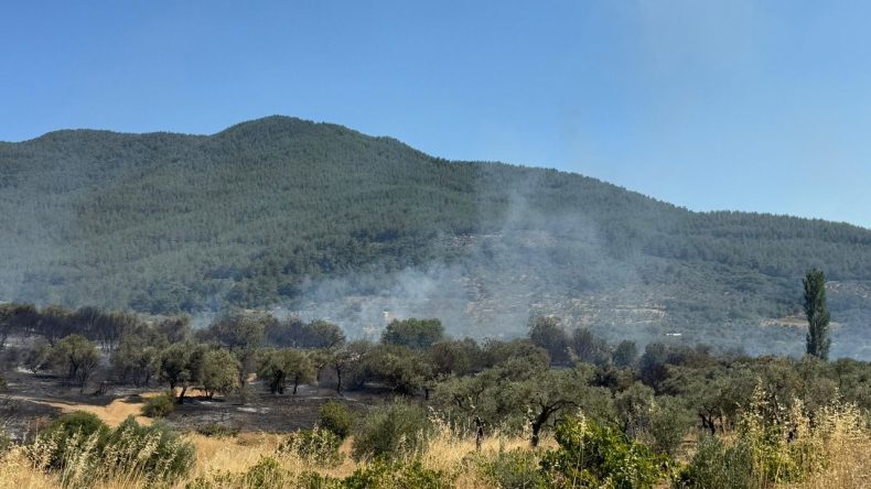 İzmir Kemalpaşa'da Yangın Paniği: Mahalle Halkı Seferber Oldu