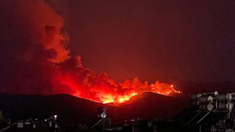 İzmir Ormanları Yanıyor: Liyakatsizlik ve Özelleştirmenin Sonucu!