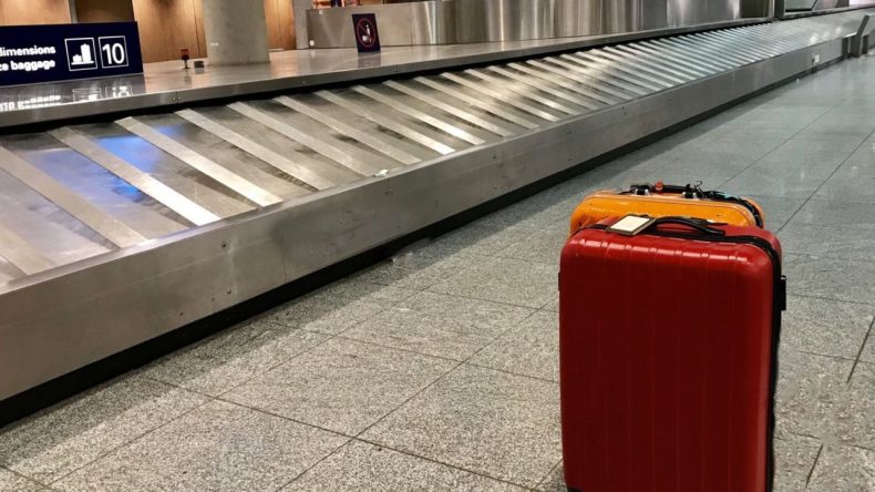 İzmir Uçağında Şok Olay: Evcil Hayvanlarındaki Sorun Genç Kadını İsyan Ettirdi