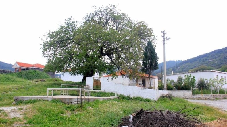 İzmir'in Bu Köyünü Kötülüklerden Koruyan Helvacı Dede Türbesi