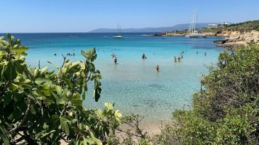İzmir'in En Sessiz Koyu: Seferihisar Ekmeksiz Tabiat Parkı Yeniden Ziyarete Kapatıldı