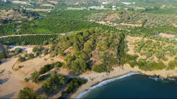 İzmir'in Gözlerden Uzak Cenneti: Elvan Koyu
