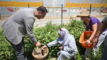 İzmir'de 'Kent Bostanları' Genişliyor: 3 Yeni Mahalleye Daha Kurulacak
