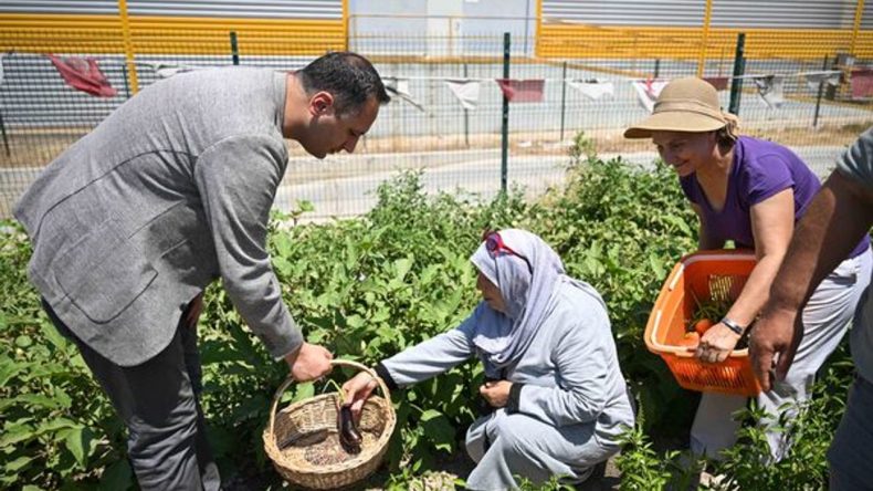 İzmir'de 'Kent Bostanları' Genişliyor: 3 Yeni Mahalleye Daha Kurulacak