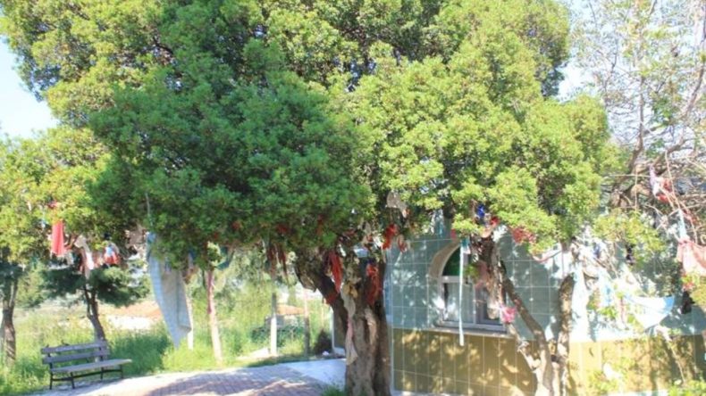İzmir'de bir kurt tarafından büyütülen evliya: Kurt Baba Türbesi nerede? Kurt Baba Türbesi'ne nasıl gidilir?