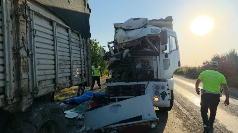 İzmir'de Kamyon Arızası Kontrolü Esnasında Feci Kaza