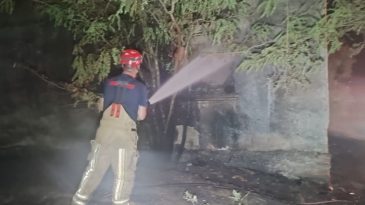 İzmir'de Korkutan Yangın: Otluk Alanda Meydana Geldi