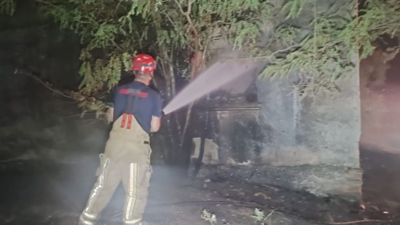 İzmir'de Korkutan Yangın: Otluk Alanda Meydana Geldi